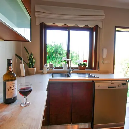 Casa de Férias Cosy Countryside - Family House Castelo de Paiva